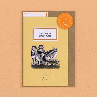 Pack image of the Ten Poems about Cats poetry pamphlet on a decorative background