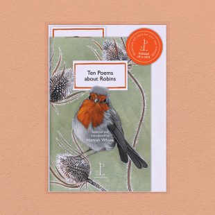 Pack image of the Ten Poems about Robins poetry pamphlet on a decorative background
