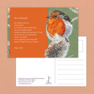 Postcard included with the Ten Poems about Robins poetry pamphlet on a decorative background