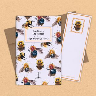 Group image of the Ten Poems about Bees poetry pamphlet on a decorative background