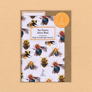 Pack image of the Ten Poems about Bees poetry pamphlet on a decorative background