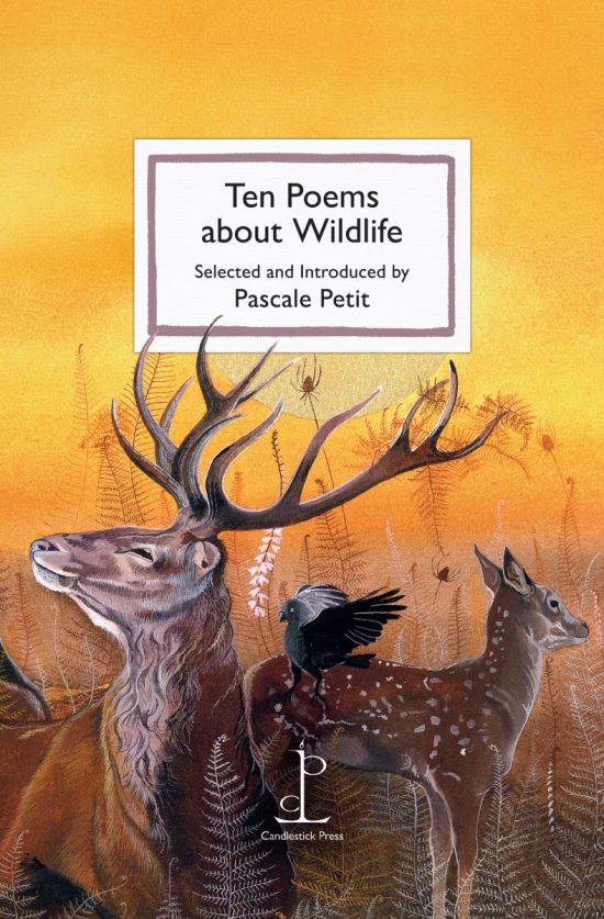 Front cover of the Ten Poems about Wildlife poetry pamphlet