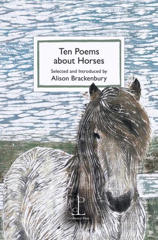 Front cover of the poetry pamphlet Ten Poems about Horses