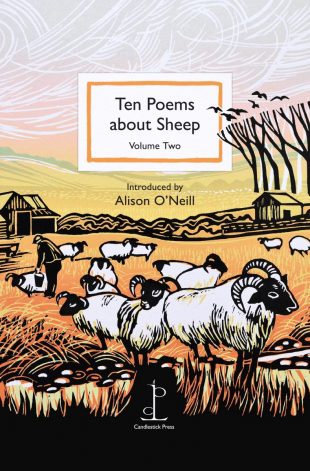 Front cover of the Ten Poems about Sheep: Volume Two poetry pamphlet