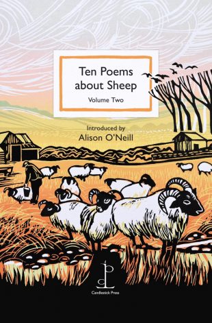 Front cover of the poetry pamphlet Ten Poems about Sheep: Volume Two