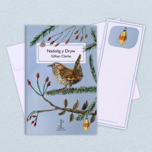 Group image of the Nadolig y Dryw: (The Christmas Wren) poetry pamphlet on a decorative background