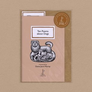 Pack image of the Ten Poems about Dogs poetry pamphlet on a decorative background