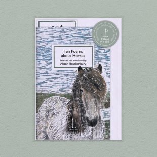 Pack image of the Ten Poems about Horses poetry pamphlet on a decorative background