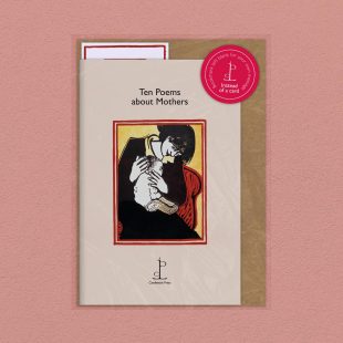 Pack image of the Ten Poems about Mothers poetry pamphlet on a decorative background