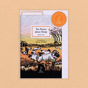 Pack image of the Ten Poems about Sheep: Volume Two poetry pamphlet on a decorative background