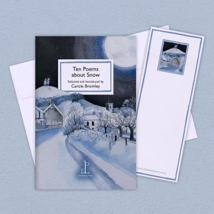 Group image of the Ten Poems about Snow poetry pamphlet on a decorative background