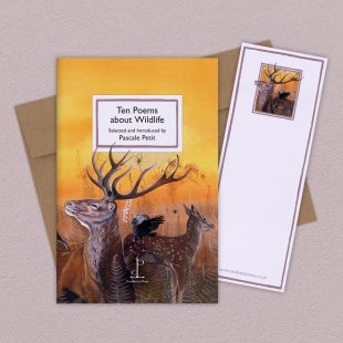 Group image of the Ten Poems about Wildlife poetry pamphlet on a decorative background