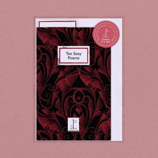 Pack image of the Ten Sexy Poems poetry pamphlet on a decorative background