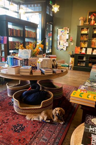 Books on the Hill interior