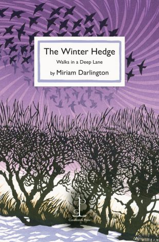Front cover of the The Winter Hedge: Walks in a Deep Lane - by Miriam Darlington poetry pamphlet