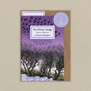 Pack image of the The Winter Hedge: Walks in a Deep Lane - by Miriam Darlington poetry pamphlet on a decorative background