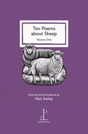 Front cover of the poetry pamphlet Ten Poems about Sheep: Volume One