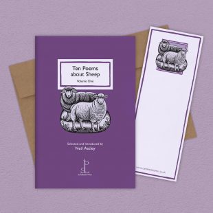 Group image of the Ten Poems about Sheep: Volume One poetry pamphlet on a decorative background