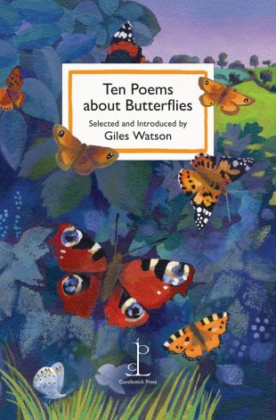 Front cover of the poetry pamphlet Ten Poems about Butterflies