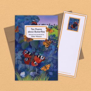 Group image of the Ten Poems about Butterflies poetry pamphlet on a decorative background