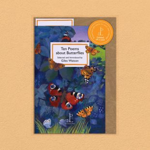 Pack image of the Ten Poems about Butterflies poetry pamphlet on a decorative background