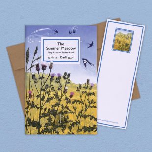Group image of the The Summer Meadow: Forty Acres of Shared Earth - by Miriam Darlington poetry pamphlet on a decorative background