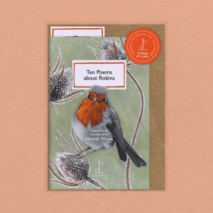 Pack image of the Ten Poems about Robins poetry pamphlet on a decorative background