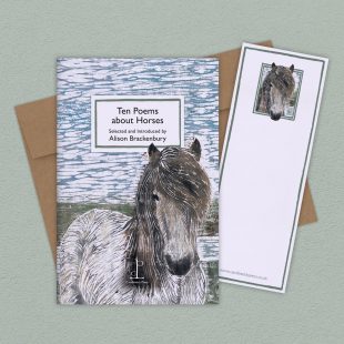 Group image of the Ten Poems about Horses poetry pamphlet on a decorative background