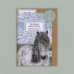 Pack image of the Ten Poems about Horses poetry pamphlet on a decorative background