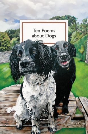 Front cover of the Ten Poems about Dogs poetry pamphlet