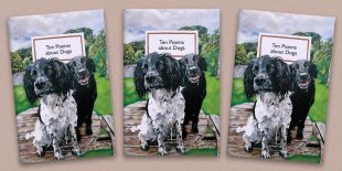 Three front covers of the Ten Poems about Dogs poetry pamphlet on a decorative background