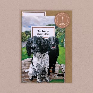 View ‘Ten Poems about Dogs’ pack shot Pack image of the Ten Poems about Dogs poetry pamphlet on a decorative background