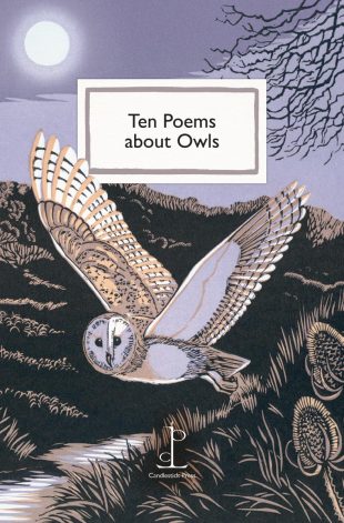 View ‘Ten Poems about Owls‘ Front cover of the Ten Poems about Owls poetry pamphlet
