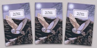 Three front covers of the Ten Poems about Owls poetry pamphlet on a decorative background