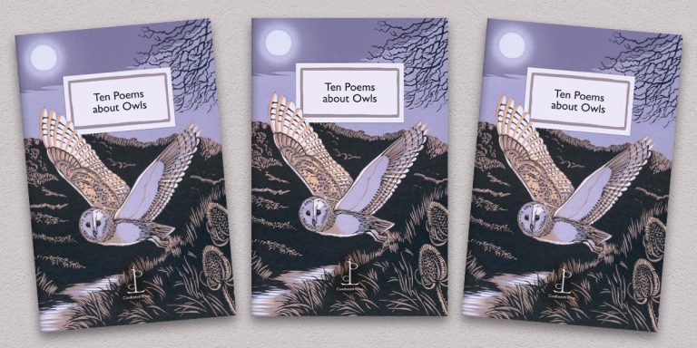 Three front covers of the Ten Poems about Owls poetry pamphlet on a decorative background