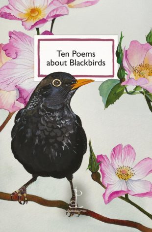Front cover of the Ten Poems about Blackbirds poetry pamphlet