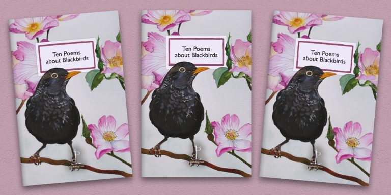 Three front covers of the Ten Poems about Blackbirds poetry pamphlet on a decorative background