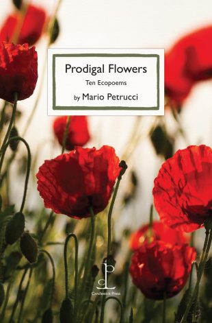 Front cover of the Prodigal Flowers: Ten Ecopoems - by Mario Petrucci poetry pamphlet