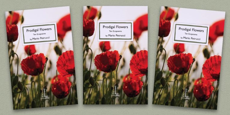 Three front covers of the Prodigal Flowers poetry pamphlet on a decorative background