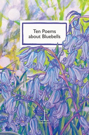 Front cover of the Ten Poems about Bluebells poetry pamphlet