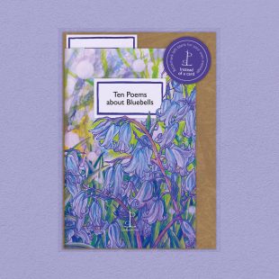 Pack image of the Ten Poems about Bluebells poetry pamphlet on a decorative background